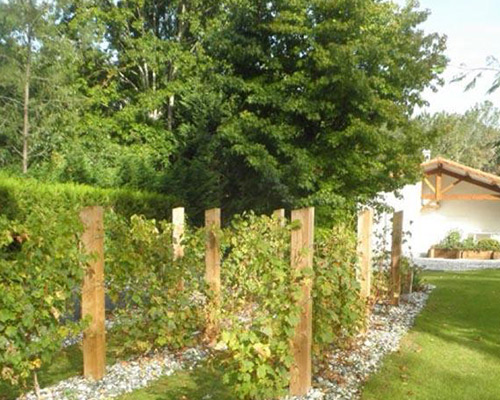 ETCHEVERRY PAYSAGE Creation Jardin Pres D Hossegor Photo 10