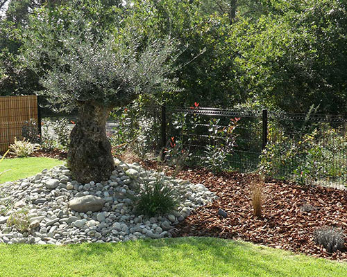 ETCHEVERRY PAYSAGE Creation Jardin Pres D Hossegor Photo 4