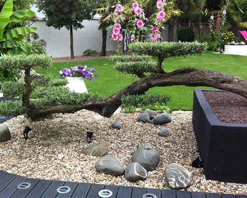ETCHEVERRY PAYSAGE Creation Jardin Pres D Hossegor Photo 9
