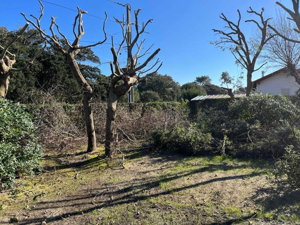 Etcheverry Paysage Creation Jardin Pres D Hossegor WhatsApp Image 2023 05 24 A 16.48.43ll