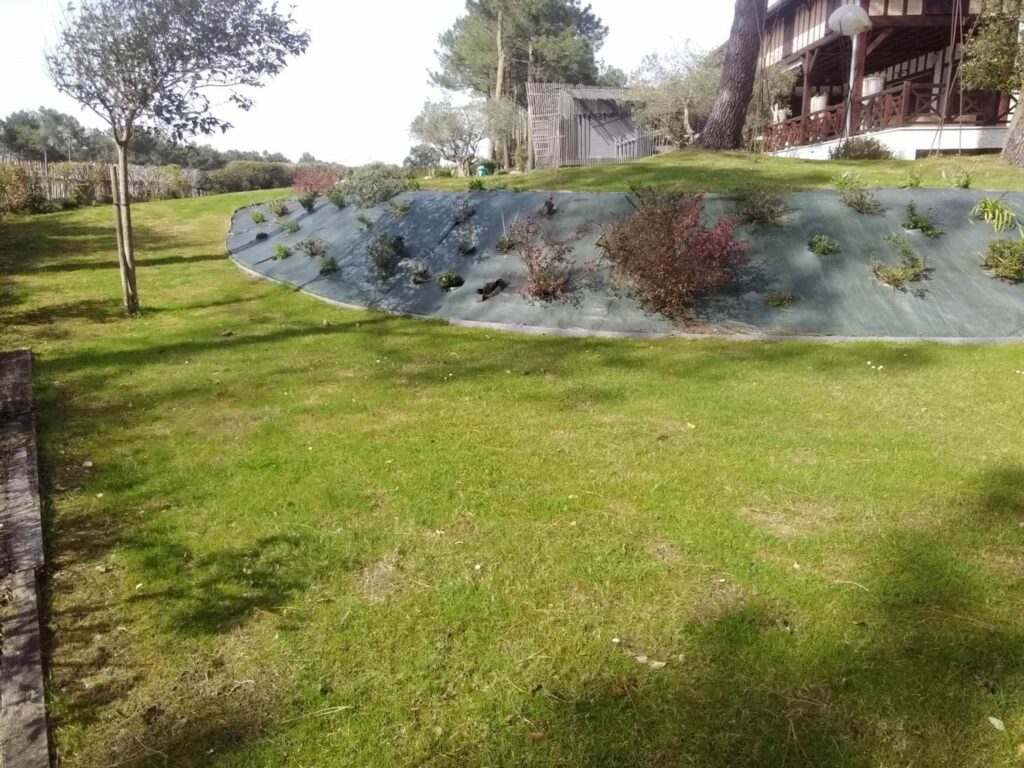 Etcheverry Paysage Creation Jardin Pres D Hossegor WhatsApp Image 2023 05 24 A 16.48.44kk