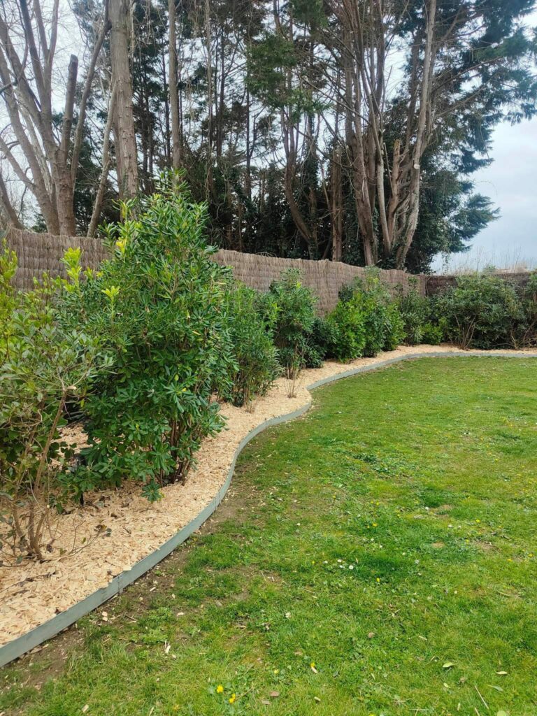 Etcheverry Paysage Creation Jardin Pres D Hossegor WhatsApp Image 2023 05 24 A 16.48.45az