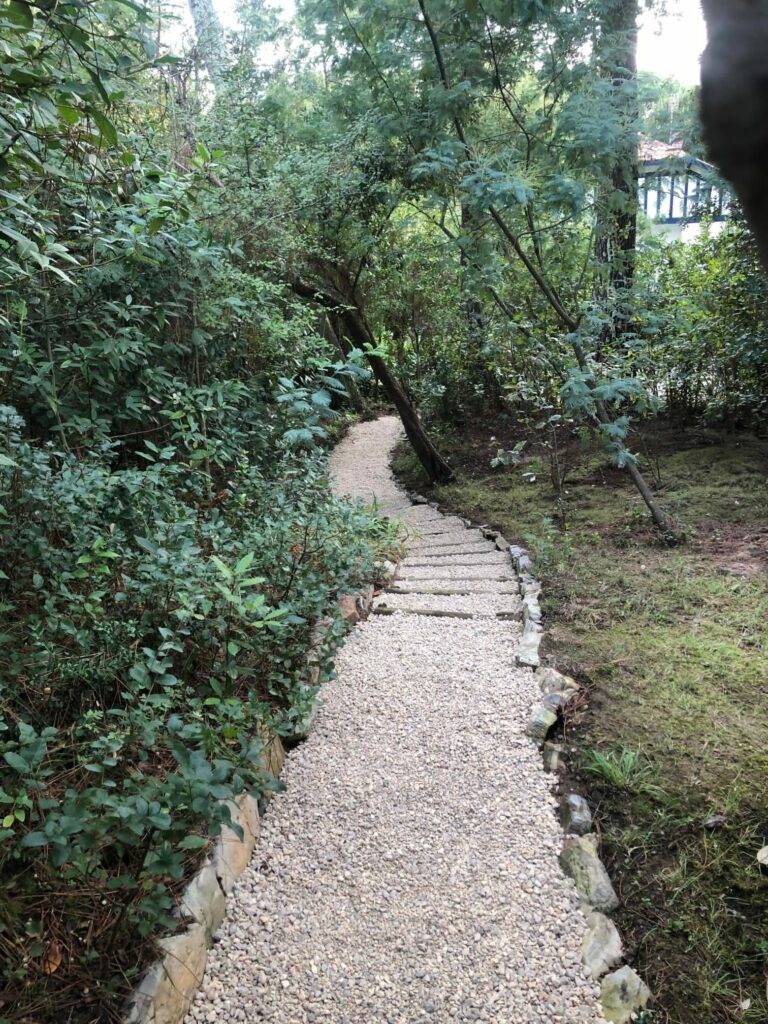 Etcheverry Paysage Creation Jardin Pres D Hossegor WhatsApp Image 2023 05 24 A 16.48.46mmm