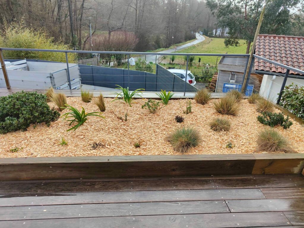 Etcheverry Paysage Creation Jardin Pres D Hossegor WhatsApp Image 2023 05 24 A 16.48.47defef