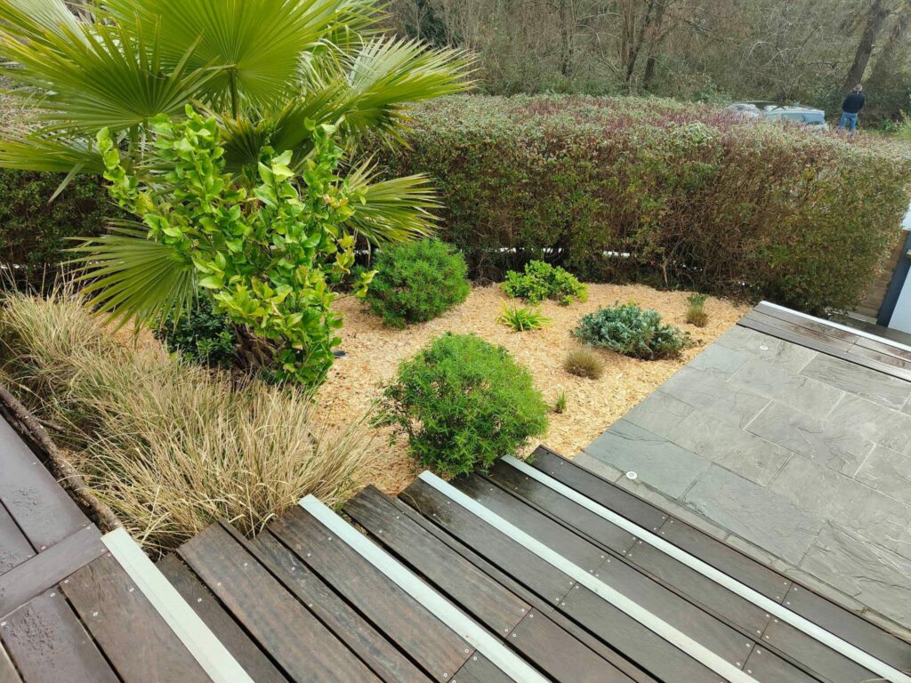 Etcheverry Paysage Creation Jardin Pres D Hossegor WhatsApp Image 2023 05 24 A 16.48.47ff