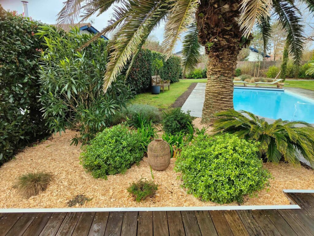 Etcheverry Paysage Creation Jardin Pres D Hossegor WhatsApp Image 2023 05 24 A 16.48.48rfrf