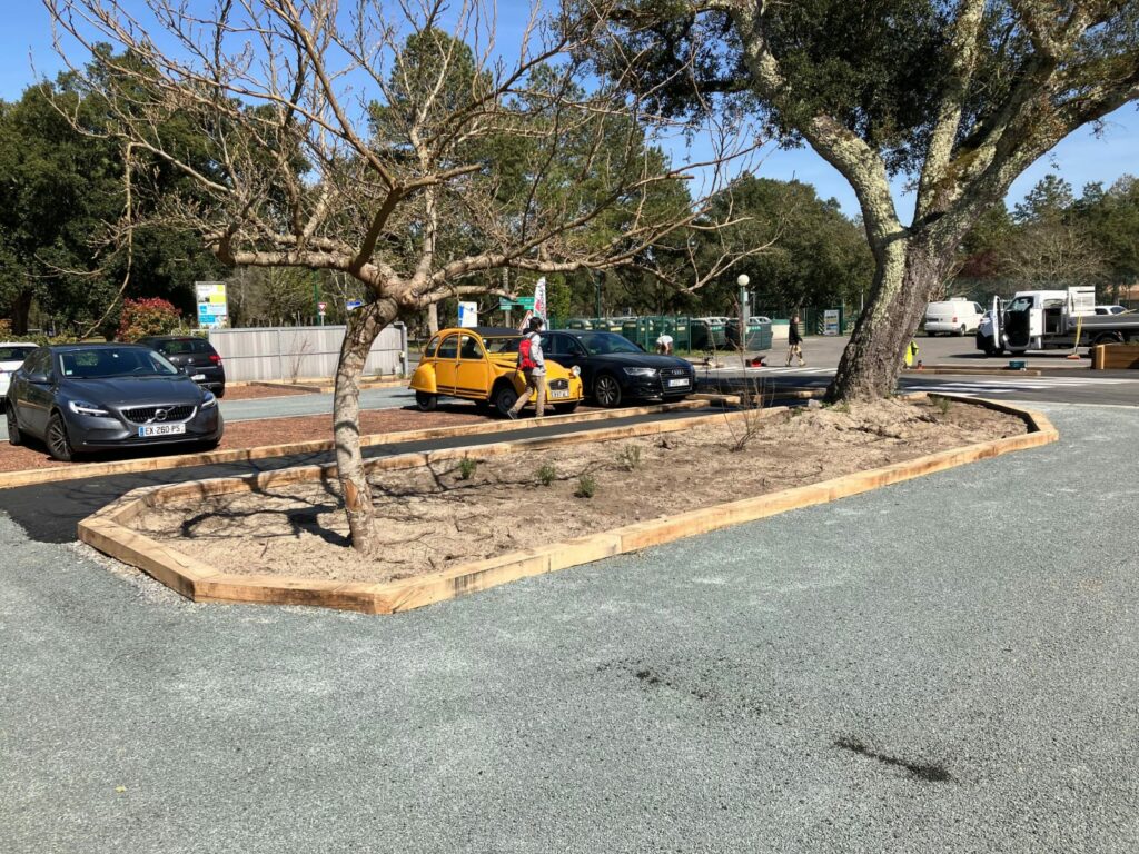 Etcheverry Paysage Creation Jardin Pres D Hossegor WhatsApp Image 2023 05 24 A 16.48.49kk
